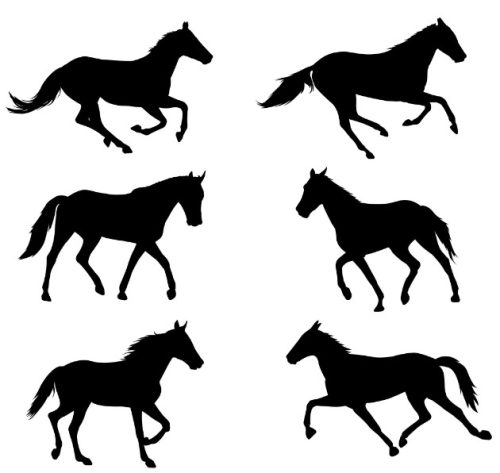 Black Horses
